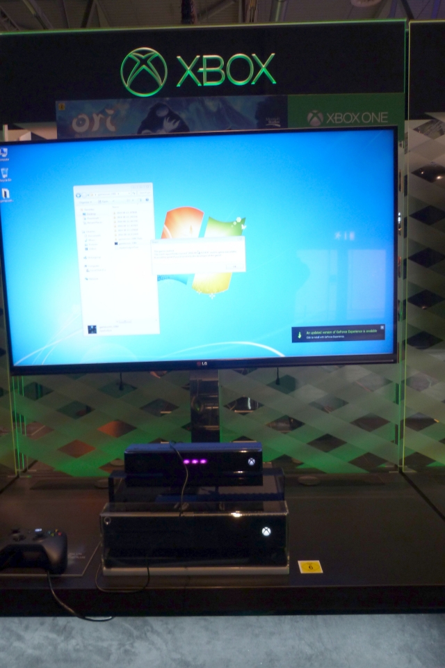 Ori Blind Forest Windows