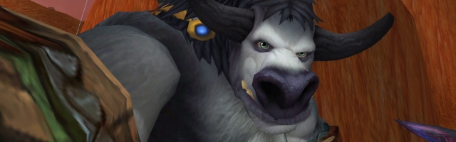 World of Warcraft Introduces Selfies & Picture Filters