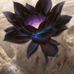 Roguebook Contest to Win Black Lotus card