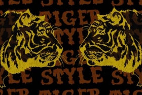 Tiger Style Box Art