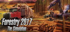 Forestry 2017 - The Simulation Box Art