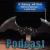 batman_batarang_.jpg