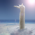 longcat-cielo.png