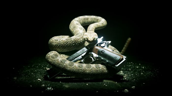 Hitman: Absolution