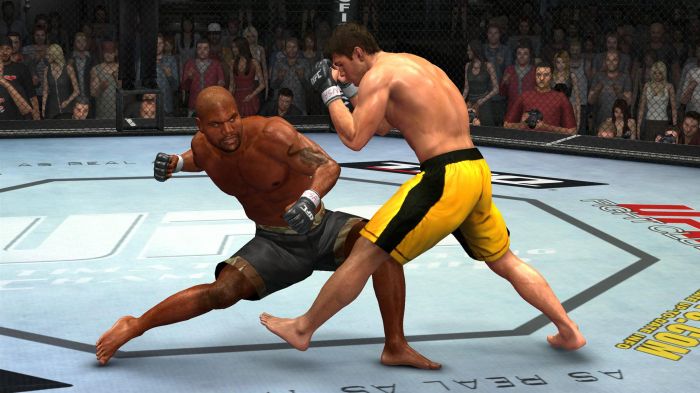 /files/images/games/u/UFC/UFC_2009_Undisputed/standard_47543_UFC_95_Screenshots_image-2009-02-11-19-06-17.jpg