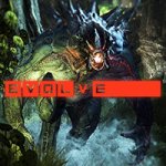 Evolve - What is it?