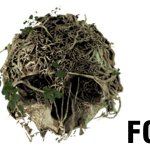 The Forest Trailer Released