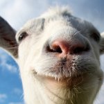 Goat Simulator Gets Physical Release in UK