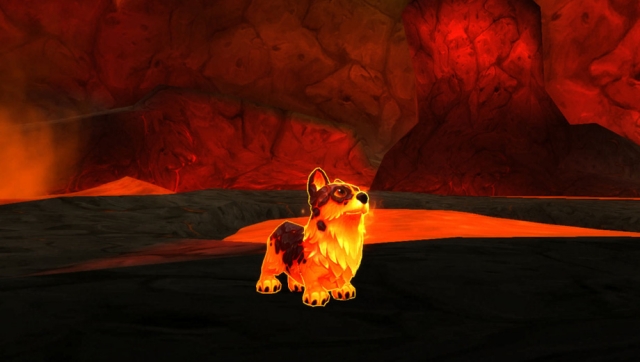 molten lava corgi