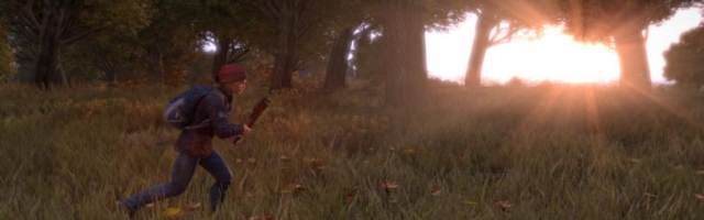DayZ Standalone Won't be Officially Launching till 2016