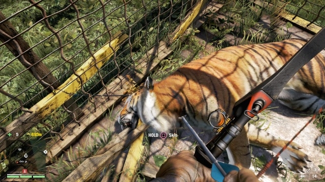 Far Cry 4 Tiger