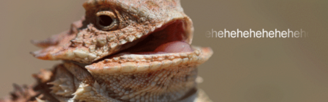 Second UK man arrested in connection to PlayStation and Xbox DDOS attacks.