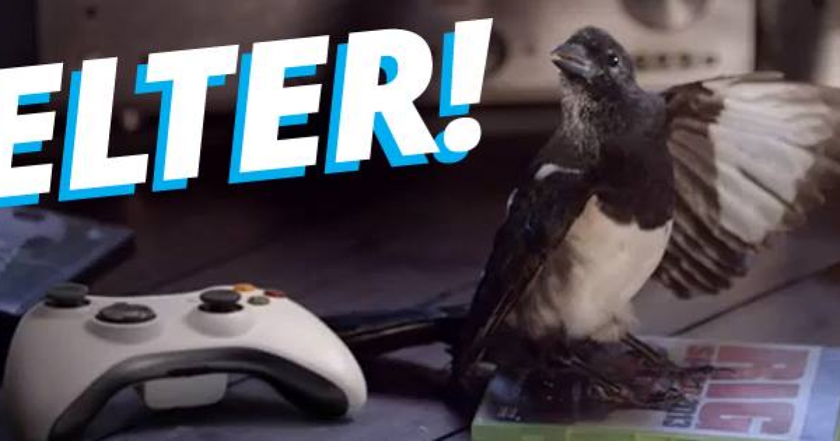 Music Magpie Launch Their Obscure Gaming Gear Competition GameGrin