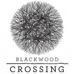 New 'Story-Driven Adventure Game' Blackwood Crossing Announced