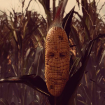 Maize Review