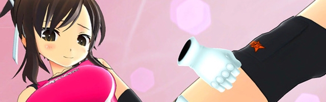 Shinobi Refle: Senran Kagura Likely Won't Come to the West