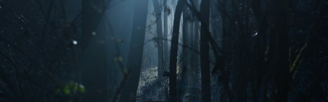 Top 10 Horror Characters in Gaming History