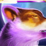 Why Play Wolf Gold?