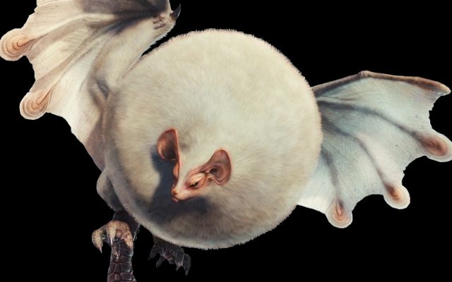 Paolumu