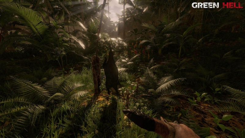 The Green Hell's Latest Update Introduces Plant Cultivation and Farming |  GameGrin