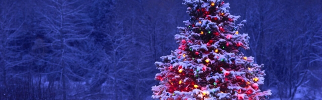 Top 5 Long Games From 2019 To Wrap Up With This Christmas