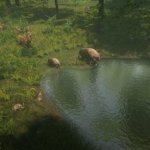 Kickstarter of Note - Natural Instincts