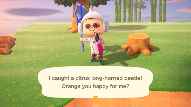 2020060117560500 02CB906EA538A35643C1E1484C4B947D