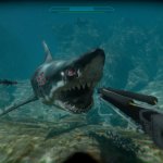 Types Of Shark-themed Games Worth Trying