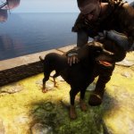 Animal Rescuer Preview