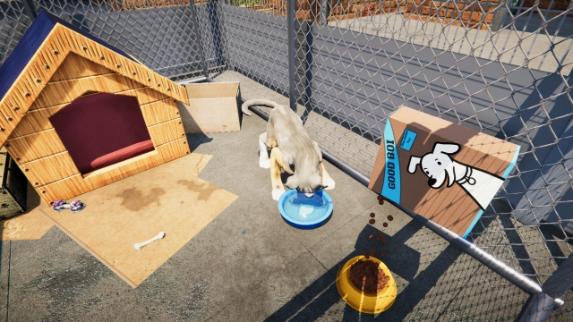 Animal Shelter Simulator