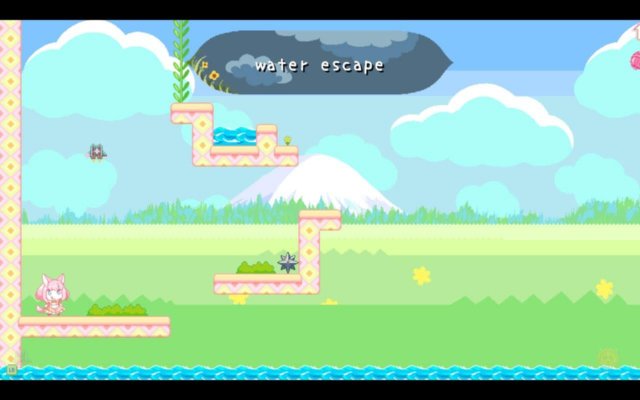 SuperPuzledCat waterescape