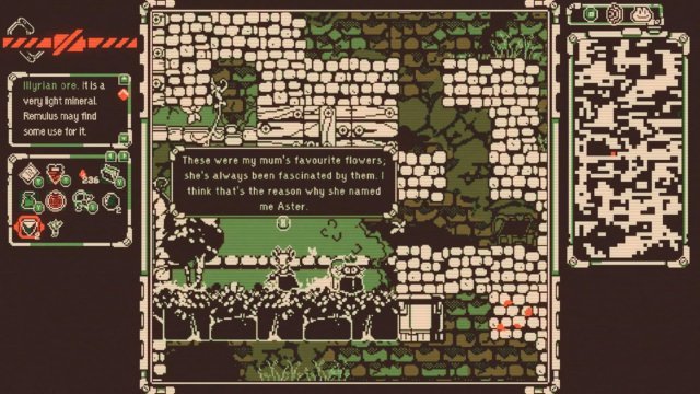 EverdeepAurora aster