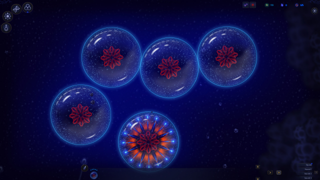 image 2025 07 27 233113254