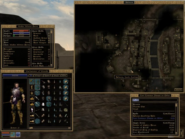 MORROWIND SCREENSHOT MAP