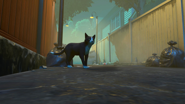 image 2025 08 16 023259757