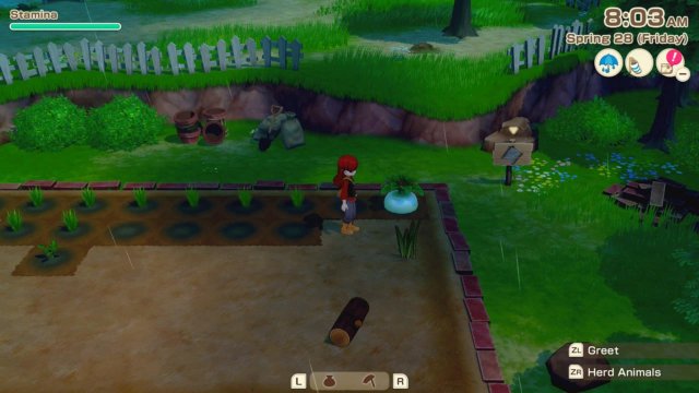 StoryofSeasonsGrandBazaar largerturnip