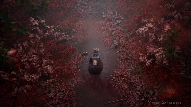 silent hill f hinako despair