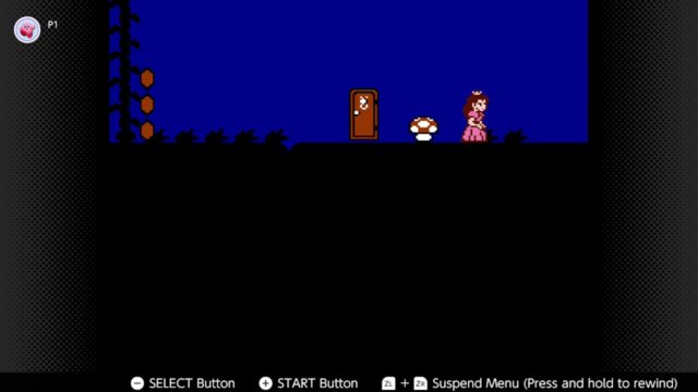 supermariousa dreamworld