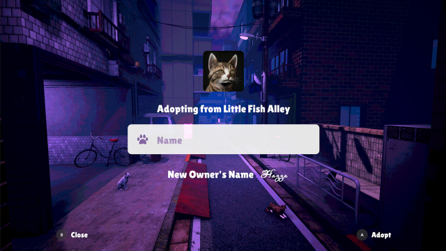 image 2025 10 05 221958636