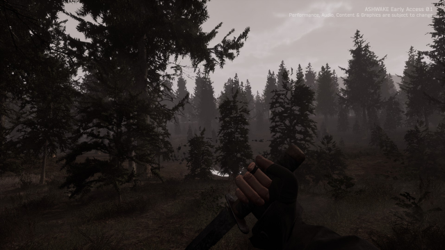 image 2025 11 23 222930570