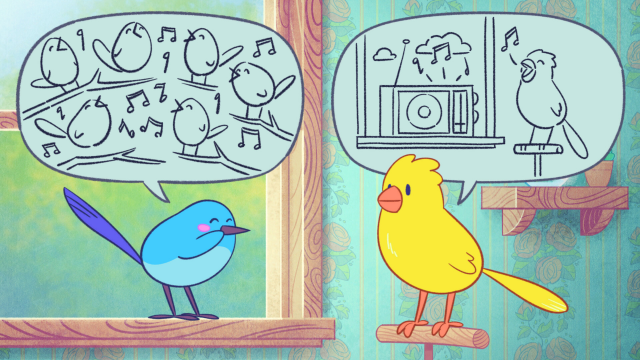 image 2026 01 17 082419077