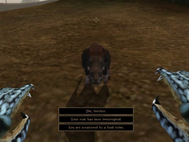 TESIII Morrowind Screenshot Disturbed Rest