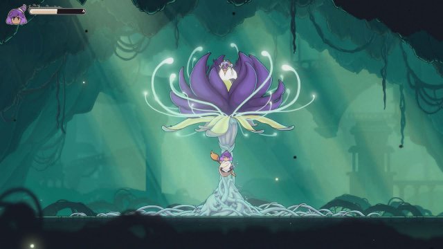 Constance purpleflower