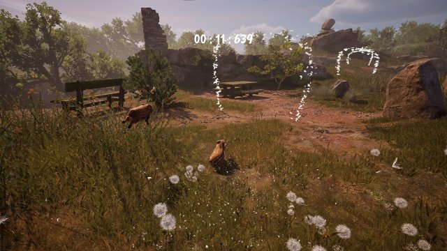 adorable adventures races
