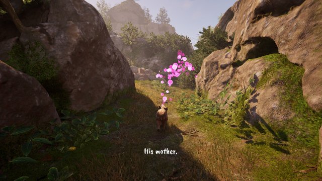 adorable adventures scent path