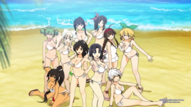 Senran Kagura Estival Versus review – Console ecchi gaming at its bounciest  – GameSkinny