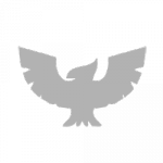 Whatever Happened to... F-Zero?