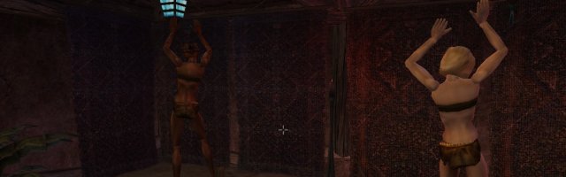 Five Tips For The Elder Scrolls III: Morrowind Beginners