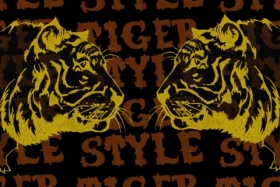 Tiger Style Box Art