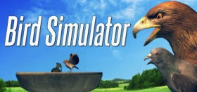 Bird Simulator Box Art